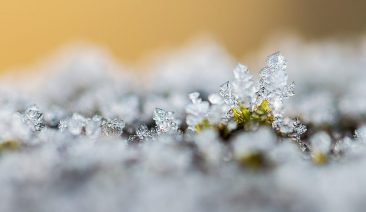 Macro of frost on a wall